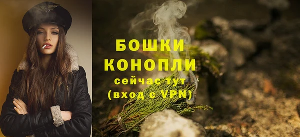 дмт Арсеньев