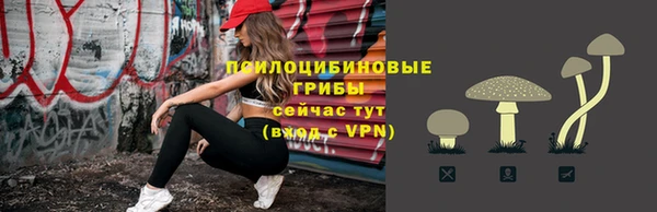 круглые Аркадак
