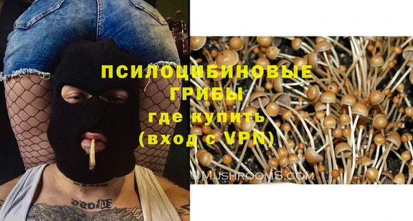 гидра Новозыбков