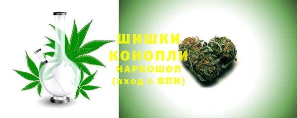 дмт Арсеньев