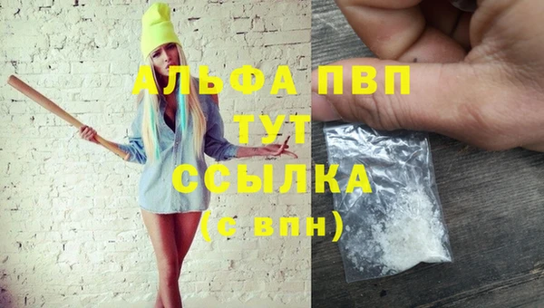 круглые Аркадак